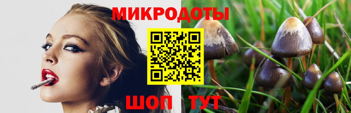 Псилоцибиновые грибы Cubensis  Вход с VPN  где купить наркотик  Галлюциногенные грибы Cubensis  Татарск 